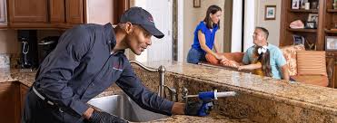 Best Pest Prevention Services  in Chickamau, GA