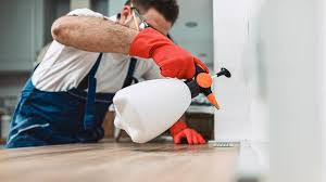 Best Residential Pest Control  in Chickamau, GA